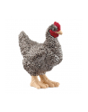 schleich SLH kura rasy Plymouth 13997 61718 - nr 1
