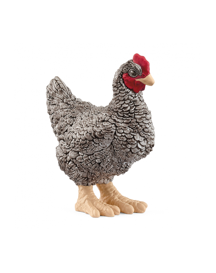 schleich SLH kura rasy Plymouth 13997 61718 główny