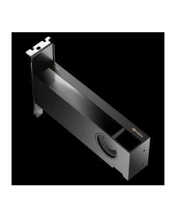 VGA Nvidia Quadro RTX 2000 Ada 16GB Retail nr 1