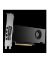 VGA Nvidia Quadro RTX 2000 Ada 16GB Retail - nr 7