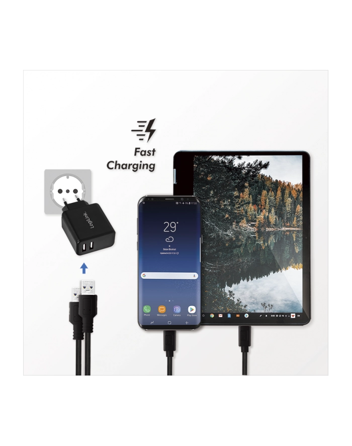Logilink PA0210 Fast Charging adapter gniazda USB 2 x USB-A 12 W do smartfonów/tabletów/odtwarzaczy MP3-MP4/eBooków/nawigacji itp z zabezpieczen główny