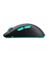 Cherry Xtrfy M64 Czarny (CXM64WBLACK) - nr 2