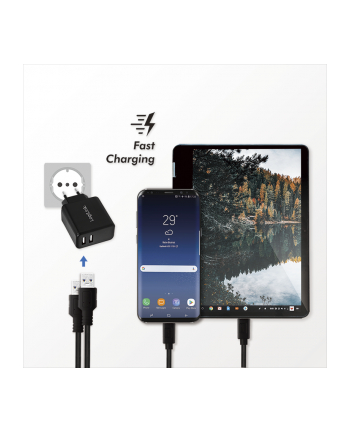 Logilink PA0210 Fast Charging adapter gniazda USB 2 x USB-A 12 W do smartfonów/tabletów/odtwarzaczy MP3-MP4/eBooków/nawigacji itp z zabezpieczen nr 1