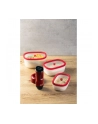 Berkel Kit all in one Icon Mini Vakuumpumpe czerwony - nr 5
