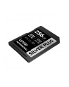 Lexar SDXC 256GB Professional SILVER Plus UHS-I U3 A2 4K V30 - nr 10