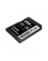 Lexar SDXC 256GB Professional SILVER Plus UHS-I U3 A2 4K V30 - nr 5