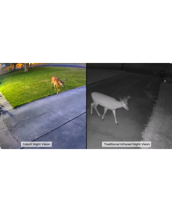 Reolink Color Series W320X nr 2