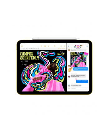 apple iPad WiFi + Cellular 11 '' 256 GB Srebrny