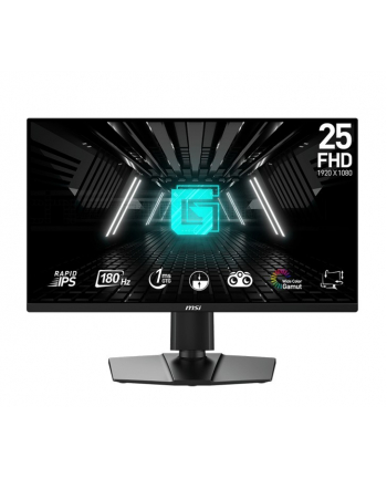 msi Monitor G255PF E2 24,5 cala LED/FHD/Flat/180Hz/Black