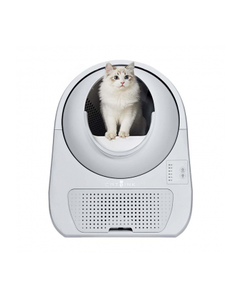 Catlink Scooper Young Version