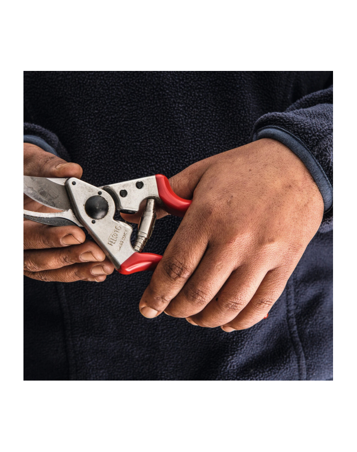 Solidne Małe Nożyce Do Cięcia Sekator F16 Felco główny