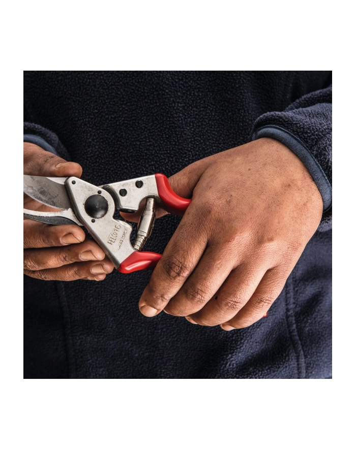 Solidne Małe Nożyce Do Cięcia Sekator F16 Felco główny
