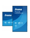 iiyama Monitor 65 '' LH6564UHS-B1AG, 24/7,VA,ANDROID14,4K,500cd,5000:1,    2xHDMI ,USB-C,RJ45, RS-232c, IR, 2x10W, 2xUSB, UCHWYT ŚCIENNY,iiSignage2,WiFi,Fa - nr 28