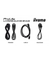 iiyama Monitor 65 '' LH6564UHS-B1AG, 24/7,VA,ANDROID14,4K,500cd,5000:1,    2xHDMI ,USB-C,RJ45, RS-232c, IR, 2x10W, 2xUSB, UCHWYT ŚCIENNY,iiSignage2,WiFi,Fa - nr 36