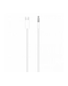 apple Kabel audio USB-C do 3.5 mm - nr 1
