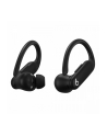 apple Słuchawki Powerbeats Pro 2 Niedościgniona czerń - nr 2