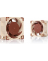 Wentylator NOCTUA NF-A4X20 40x20mm 3-Pin 5V - nr 12