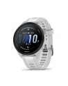 Garmin Forerunner 165 Mist Grey - nr 1