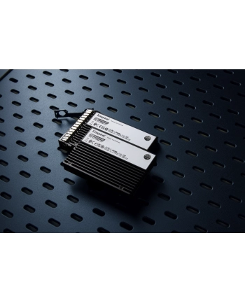 KINGSTON 15.36TB DC3000ME U.2 PCIe 5.0 NVMe TCG Opal Enterprise SSD nr 1