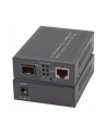 Efb Media 1x100/1000Mbit Rj45,1 x Gigabit SFP Port (EL029) - nr 1