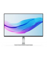 Lenovo L24m-4A 238'';FHD IPS 100Hz 250nits AG HDMI DP USB Cloud Grey - nr 10