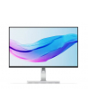 Lenovo L24m-4A 238'';FHD IPS 100Hz 250nits AG HDMI DP USB Cloud Grey - nr 13