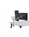 Spire na 2 monitory do 27'' Arm Basic (CG-UGOL-2S) - nr 8