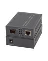 Efb Media 1x100/1000Mbit Rj45,1 x Gigabit SFP Port (EL029) - nr 1