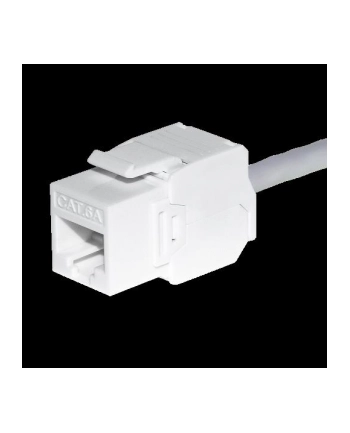 Moduł keystone Jack RJ45 kat. 6A UTP, beznarzędziowy, biały Netrack