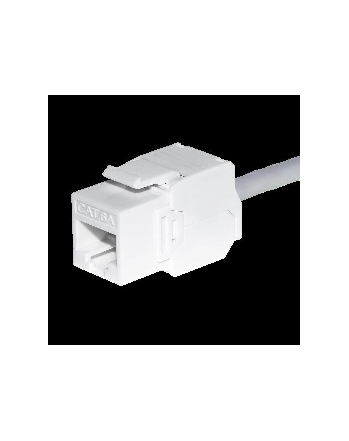 Moduł keystone Jack RJ45 kat. 6A UTP, beznarzędziowy, biały Netrack główny