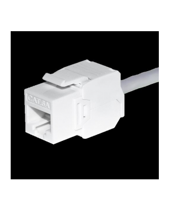 Moduł keystone Jack RJ45 kat. 6A UTP, beznarzędziowy, biały Netrack