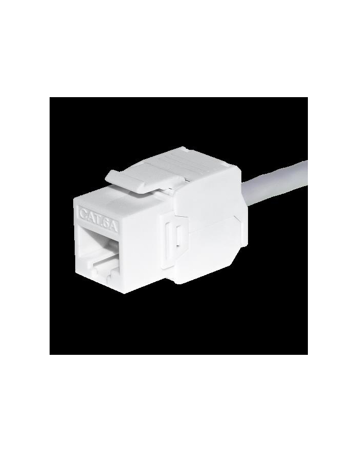 Moduł keystone Jack RJ45 kat. 6A UTP, beznarzędziowy, biały Netrack główny