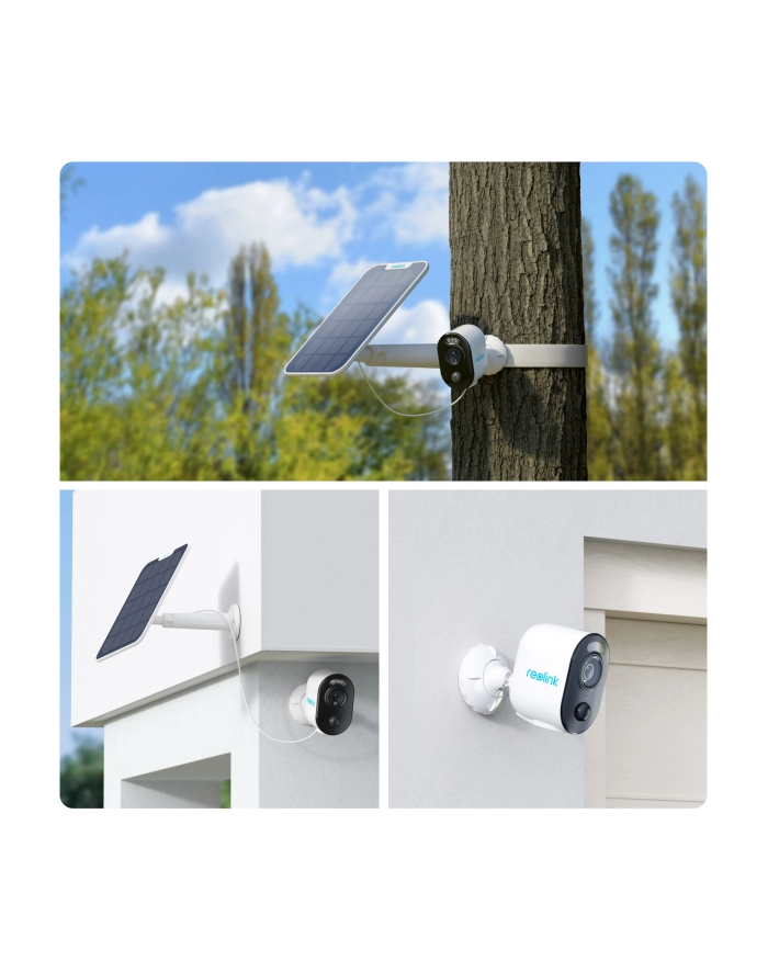 Reolink Argus Series B310 Bullet (Form) Ip Security Camera główny