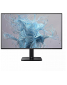 philips Monitor 24E2N1110 23.8 cala IPS 120Hz HDMI VGA - nr 65