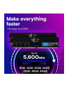 crucial Pamięć DDR5 64GB/5600 CL46 - nr 3