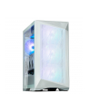 Zalman Obudowa Z9 Iceberg Ms White 4Xargb Fan (KOZALOC0Z9ICMSW) - nr 27