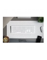 Alogic Echelon Extend Bluetooth Wireless Keyboard (German) White - nr 5