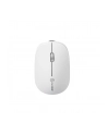 Alogic Echelon Bluetooth Wireless Mouse White - nr 1