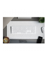 Alogic Echelon Extend Bluetooth Wireless Keyboard (German) White - nr 5