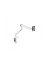 Alogic Glide Flexible Single Arm Monitor Mount 17-35 White - nr 1