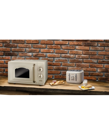 Gorenje MO4250TCLI