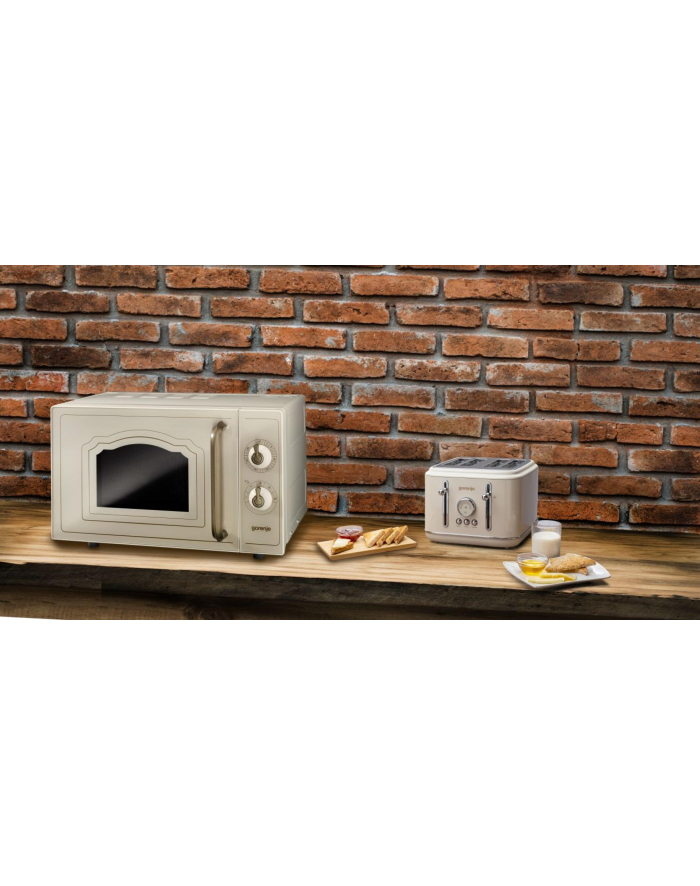 Gorenje MO4250TCLI główny