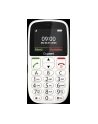 Gigaset GL395 bialy - nr 10