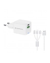 Conceptronic ALTHEA16W 2-Port 33W GaN USB PD Charger - nr 8