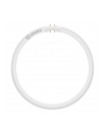 Osram LED Ringlampe T5 FC40/55 P 21,5W 830 2GX13 - nr 3