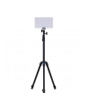 Amaran pano 60c 2-Light-Kit biały - nr 5