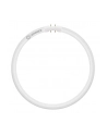Osram LED Ringlampe T5 FC40/55 P 21,5W 830 2GX13 - nr 3