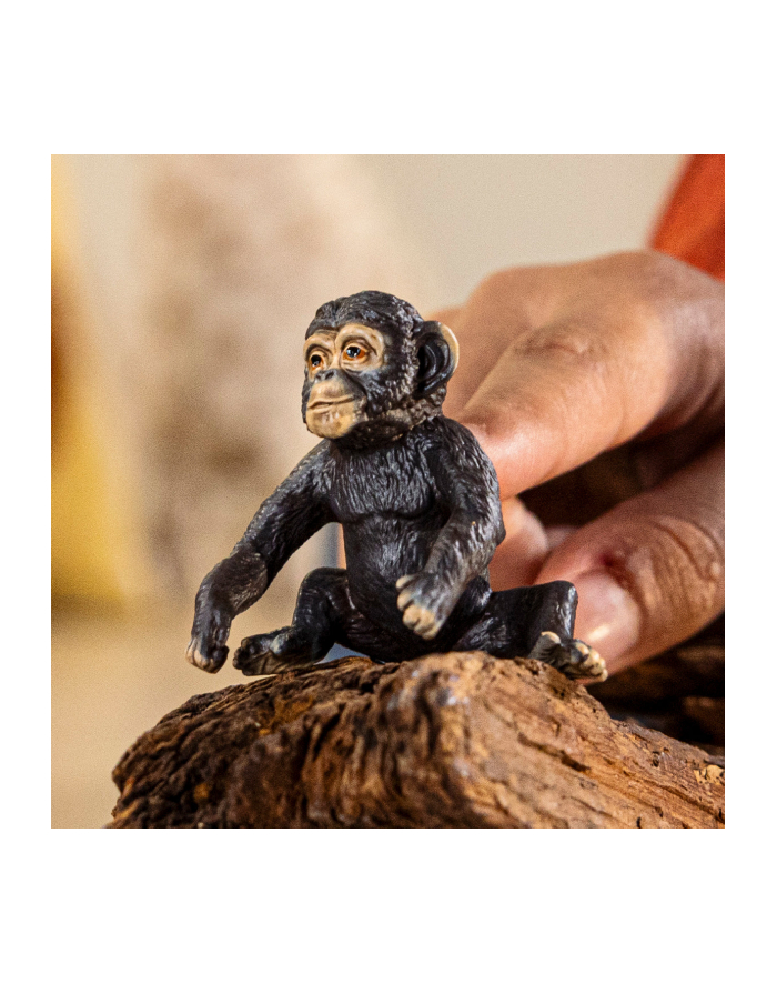 Schleich 14884 Szympans mały Wild Life główny