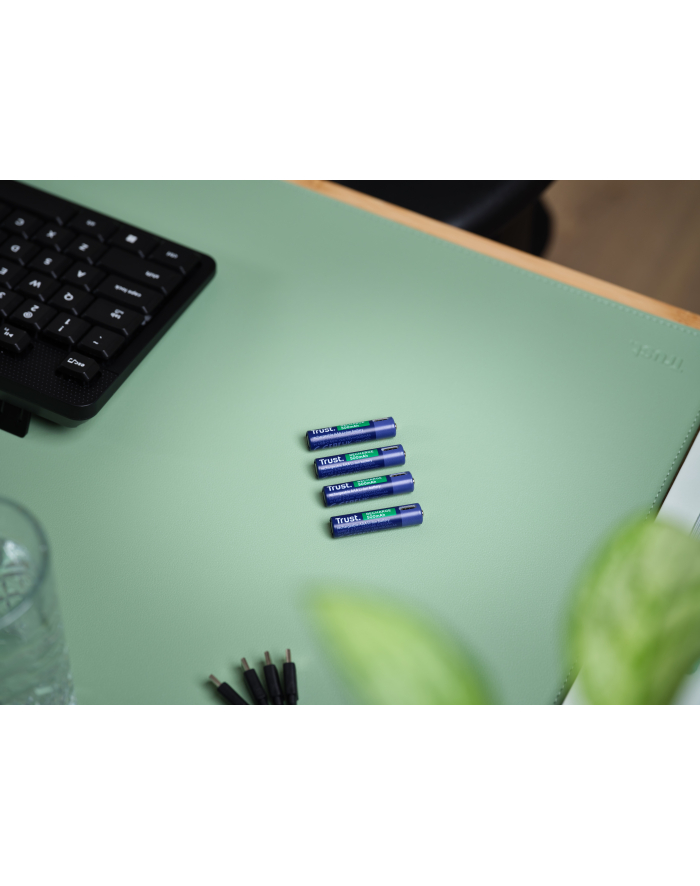 Baterie AAA Trust USB-C RECHARGEABLE BATTERIES 4P główny