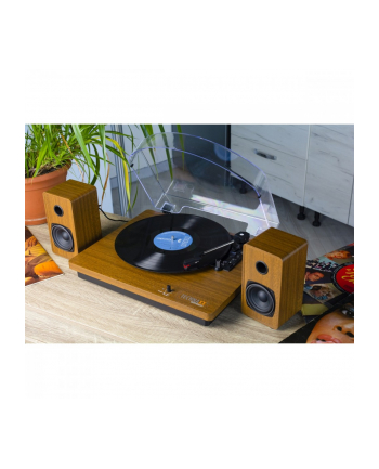 technaxx deutschland gmbh ' co. kg Odtwarzacz z głośnikiem stereo TX-188